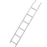 0006529_monkey-ladder-3503000.jpeg